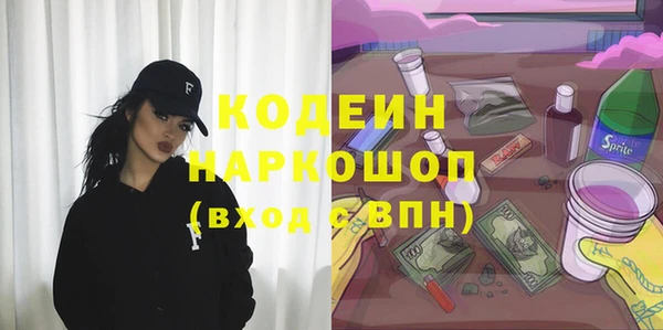 индика Горнозаводск