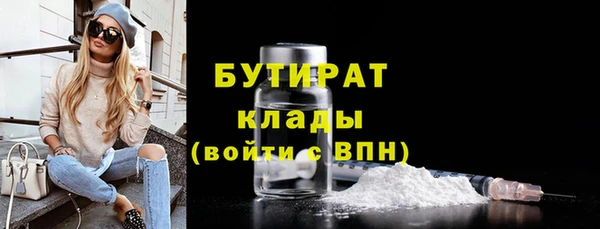 индика Горнозаводск