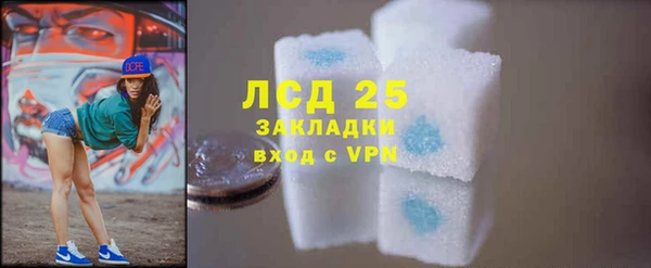 индика Горнозаводск