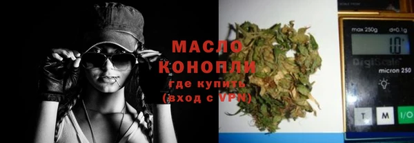 индика Горнозаводск