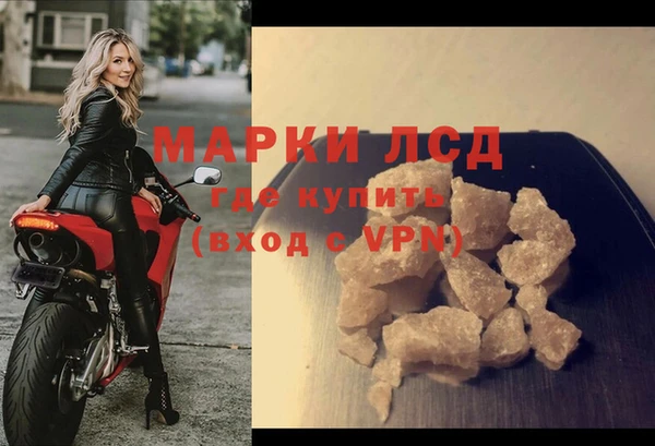 индика Горнозаводск