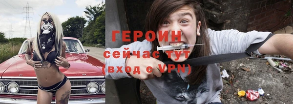 индика Горнозаводск