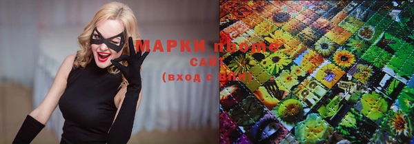 индика Горнозаводск