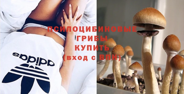 индика Горнозаводск