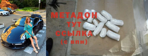 индика Горнозаводск