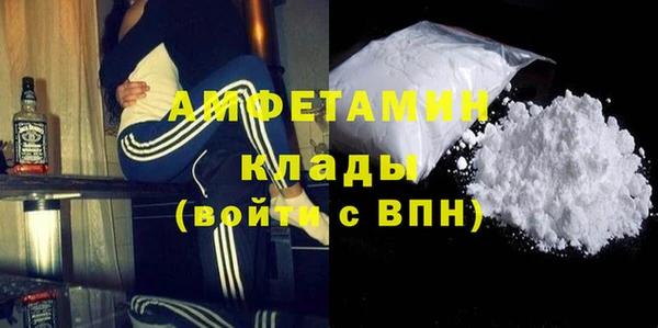 индика Горнозаводск